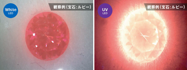 UV光源の効果